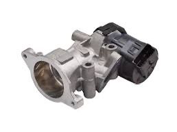 egr-valve